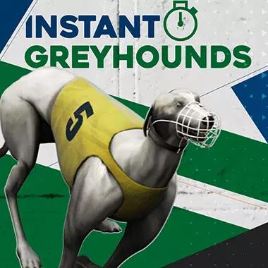 instant-virtual-greyhounds