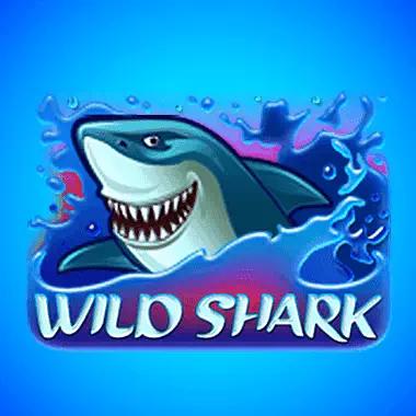 wild-shark