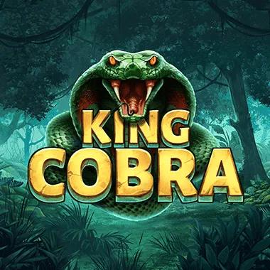 king-cobra