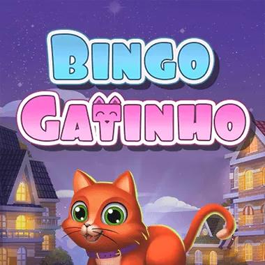 bingo-gatinho