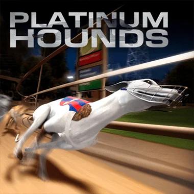 platinum-hounds