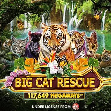 big-cat-rescue-megaways