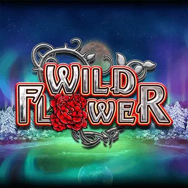 wild-flower