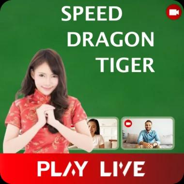 speed-dragon-tiger-livesolutions