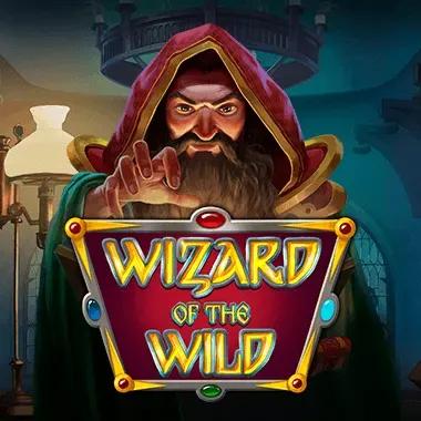 wizard-of-the-wild