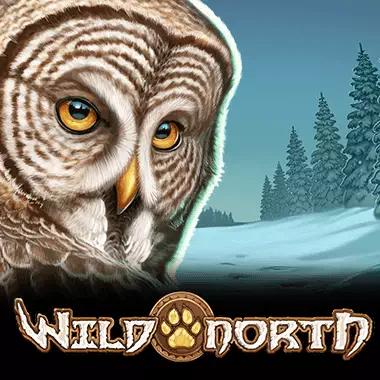 wild-north