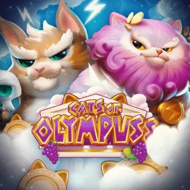 cats-of-olympuss