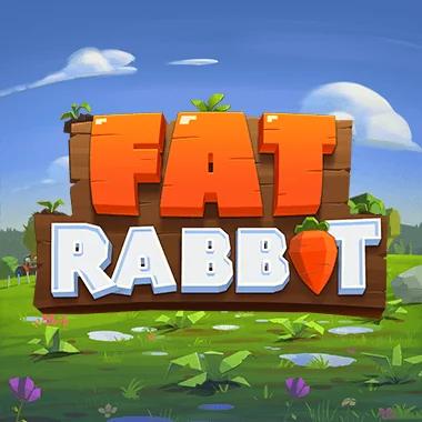 fat-rabbit