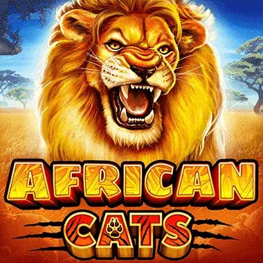 african-cats