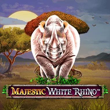 majestic-white-rhino