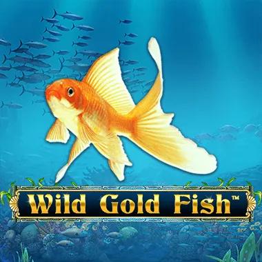 wild-gold-fish