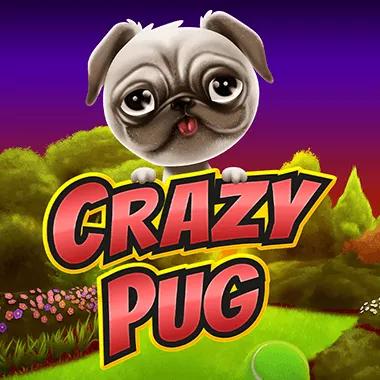 crazy-pug