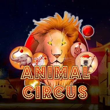 animal-circus