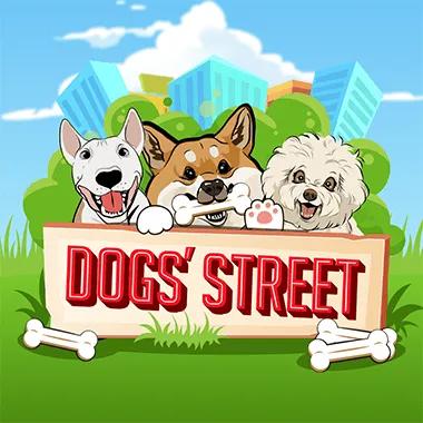 dogs-street