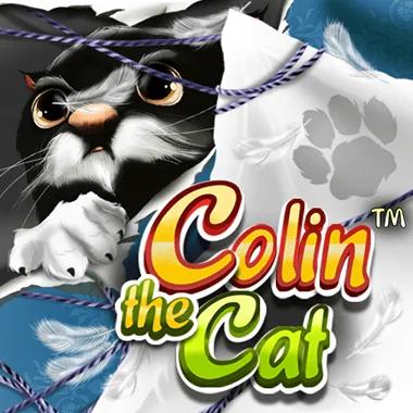 colin-the-cat