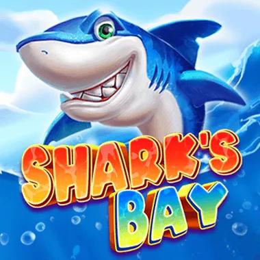 sharks-bay